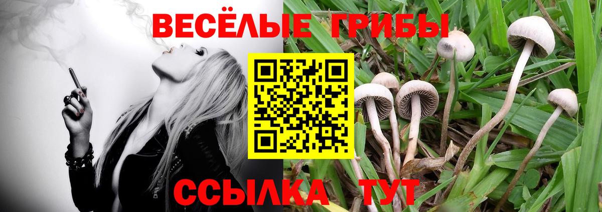 Кировск  Псилоцибиновые грибы Psilocybine cubensis  Псилоцибиновые грибы MAGIC MUSHROOMS  купить   Вход с VPN 